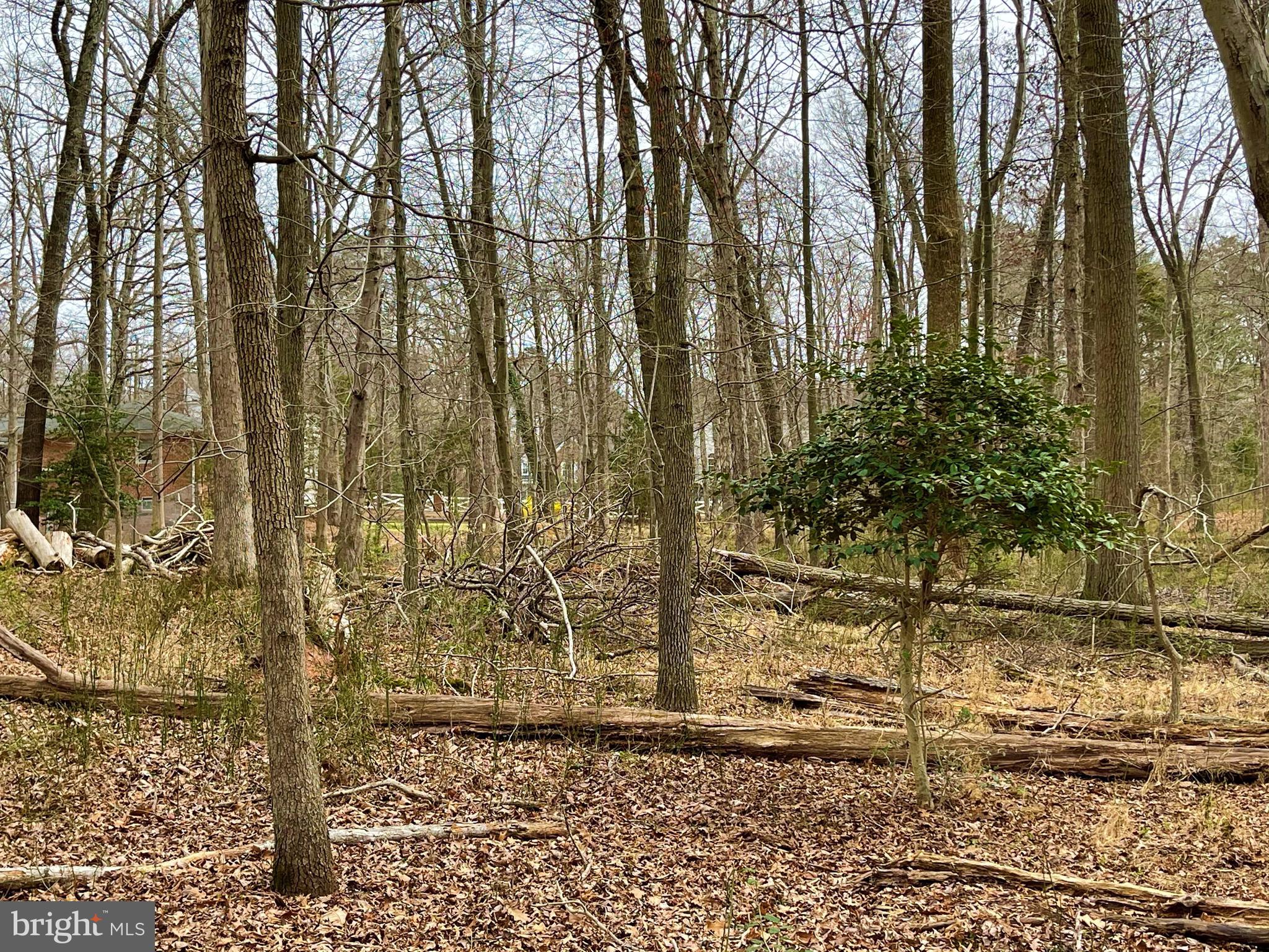 12900 Oxon Road Herndon, VA 20171 - Photo 12 of 20