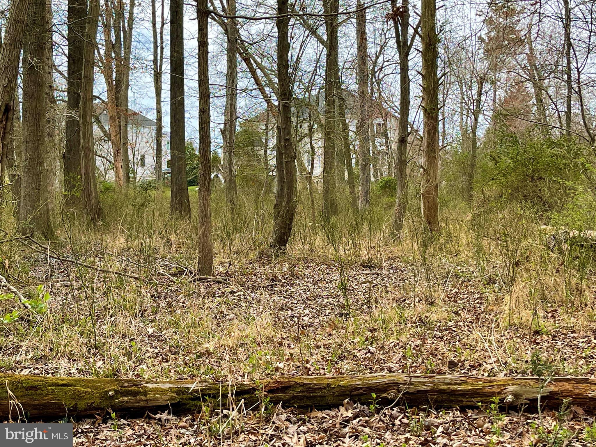 12900 Oxon Road Herndon, VA 20171 - Photo 13 of 20