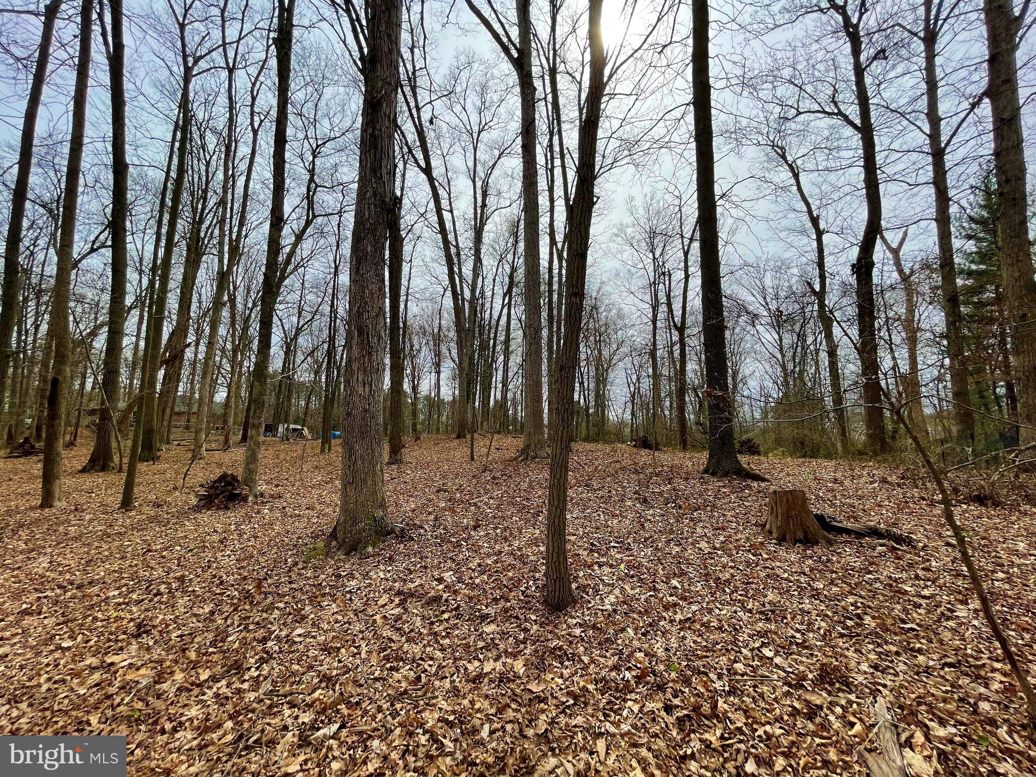 12900 Oxon Road Herndon, VA 20171 - Photo 8 of 20