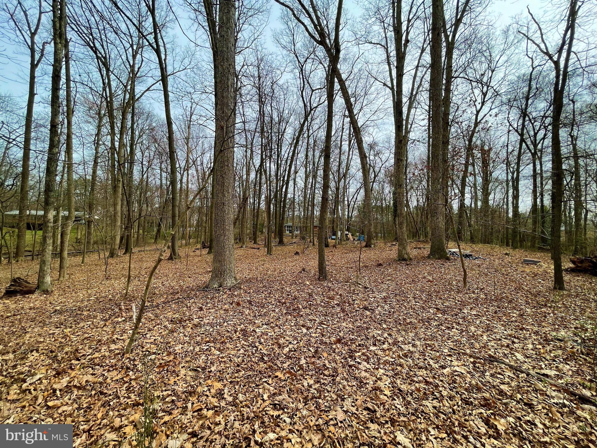 12900 Oxon Road Herndon, VA 20171 - Photo 9 of 20