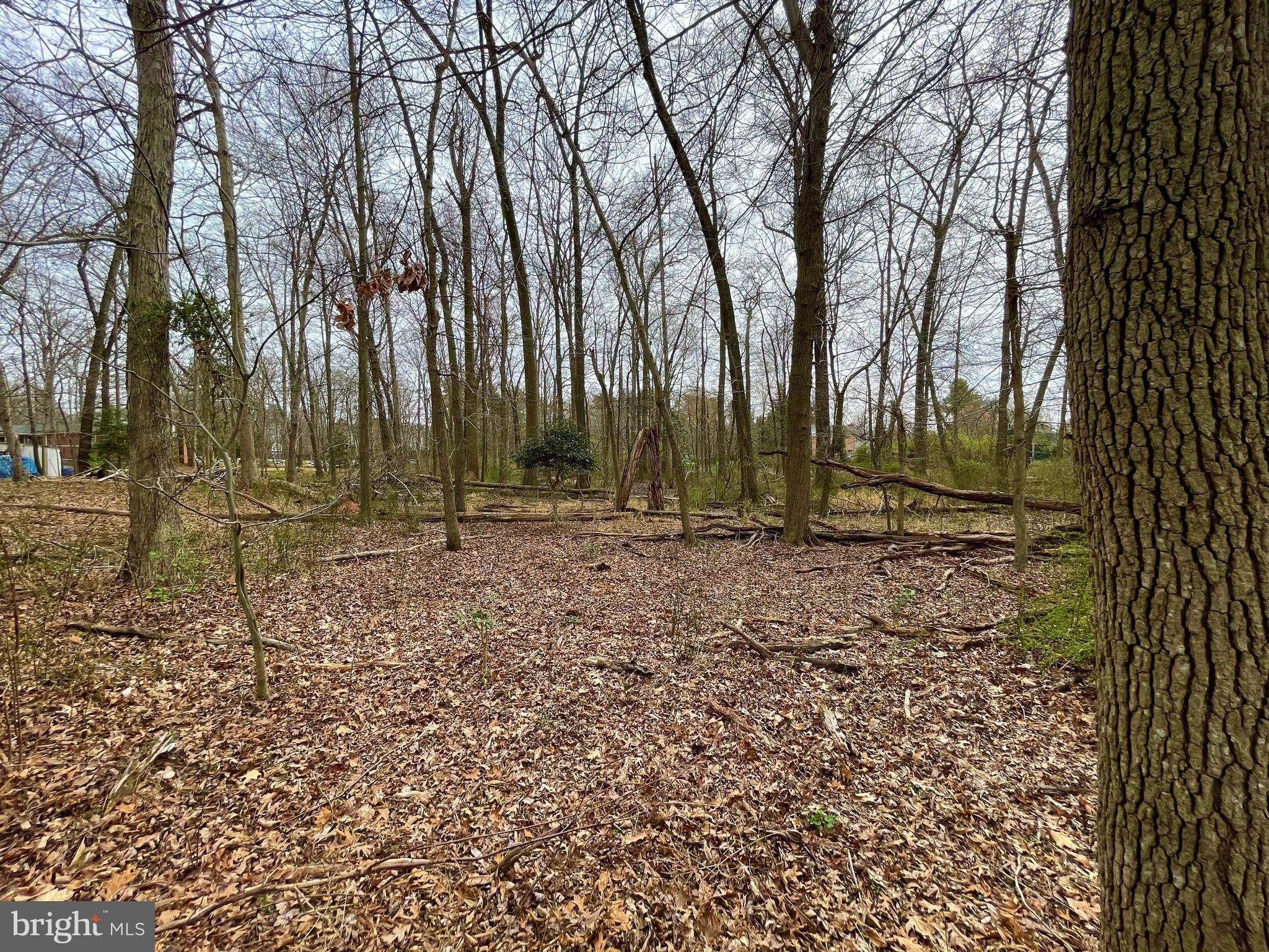 12900 Oxon Road Herndon, VA 20171 - Photo 10 of 20