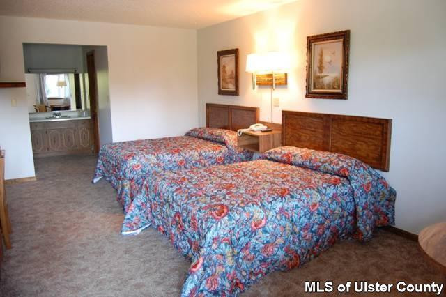 0 Green Lake Road Catskill, NY 12414 - Photo 11 of 16 Photo 11