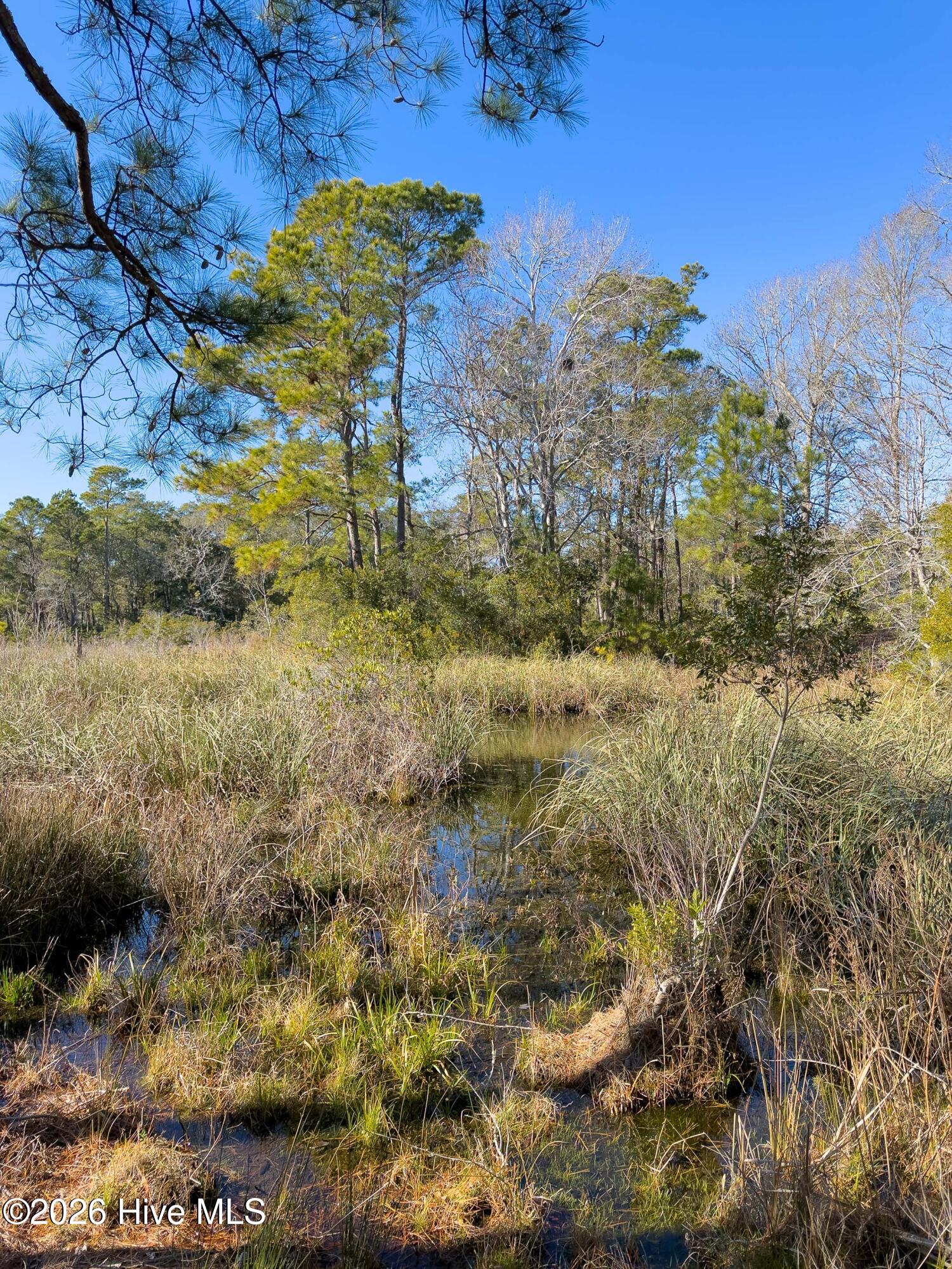 1907 Redfish Run Southwest Supply, NC 28462 - Photo 59 of 88 1907 Red Fish Run MLS-54