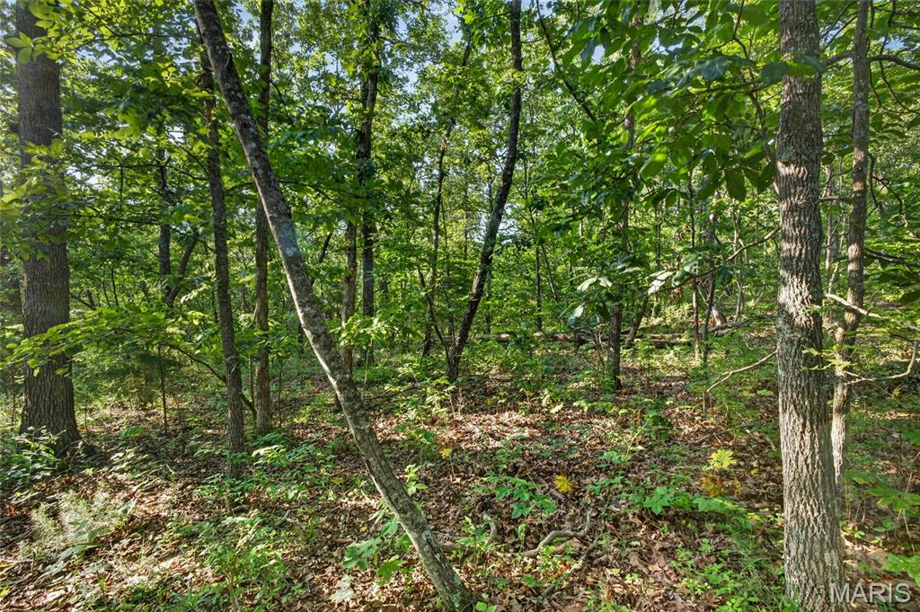5 Cantrell Road Mansfield, MO 65704 - Photo 10 of 16