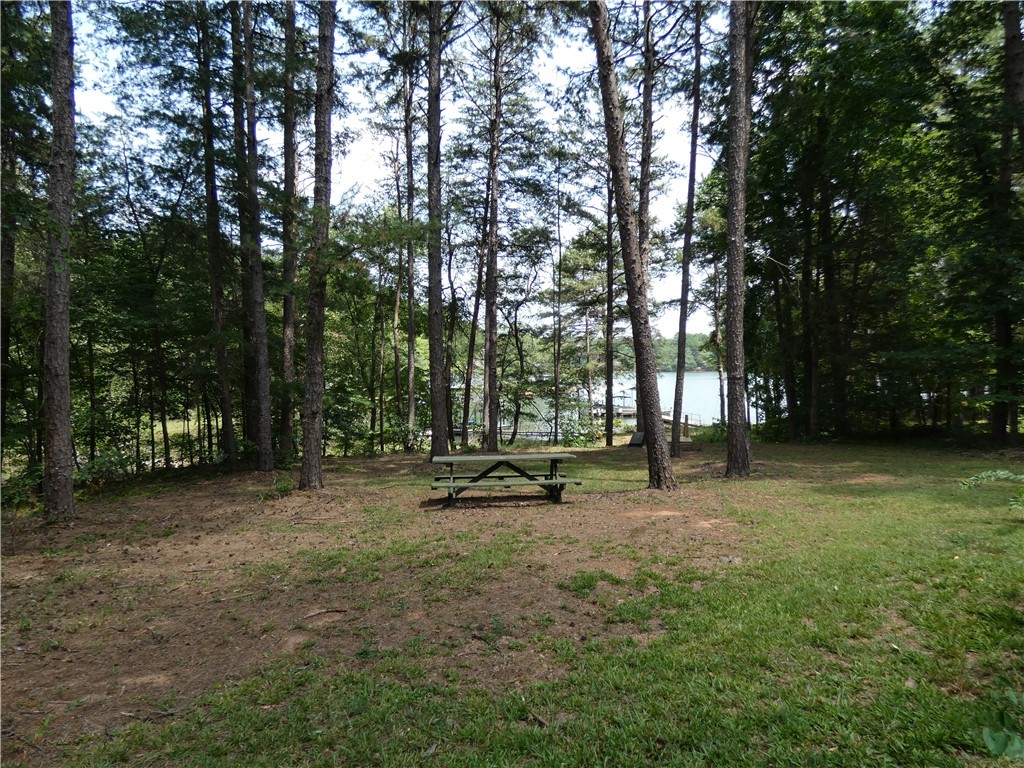 587 Currahee Ridge Road Toccoa, GA 30577 - Photo 16 of 19 Backyard
