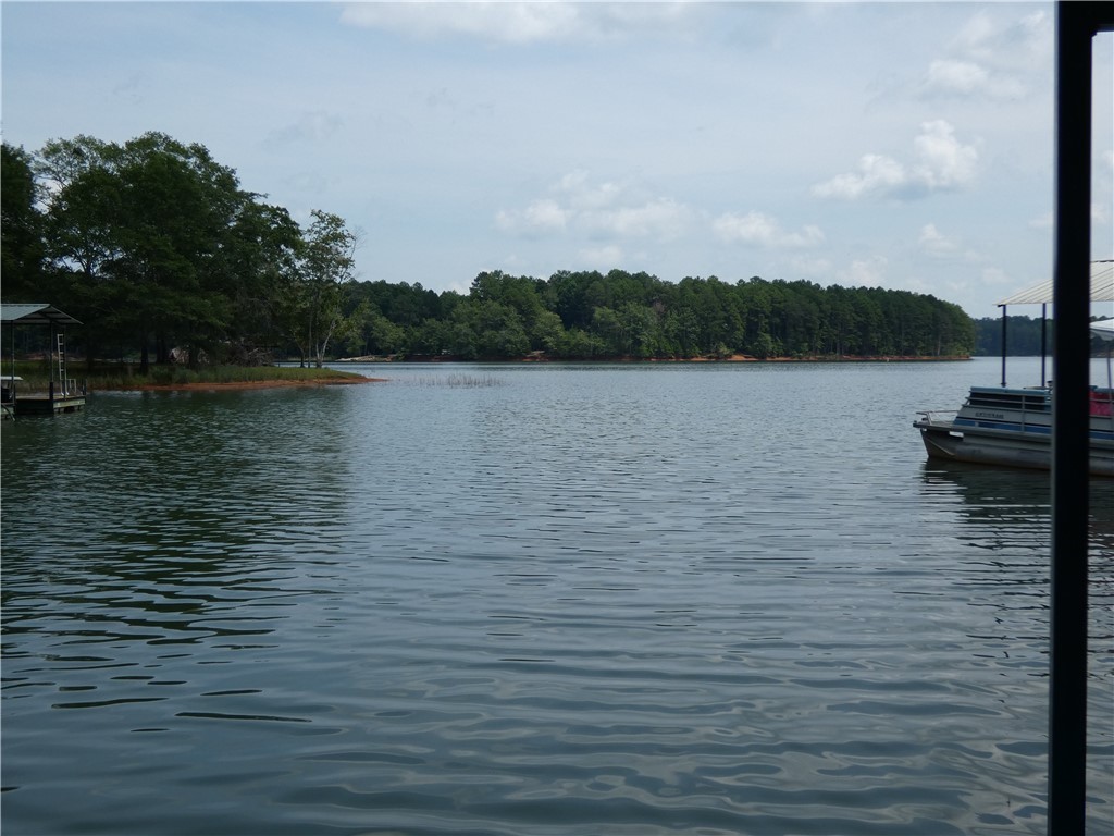 587 Currahee Ridge Road Toccoa, GA 30577 - Photo 19 of 19 View of Lake Hartwell from the dock.