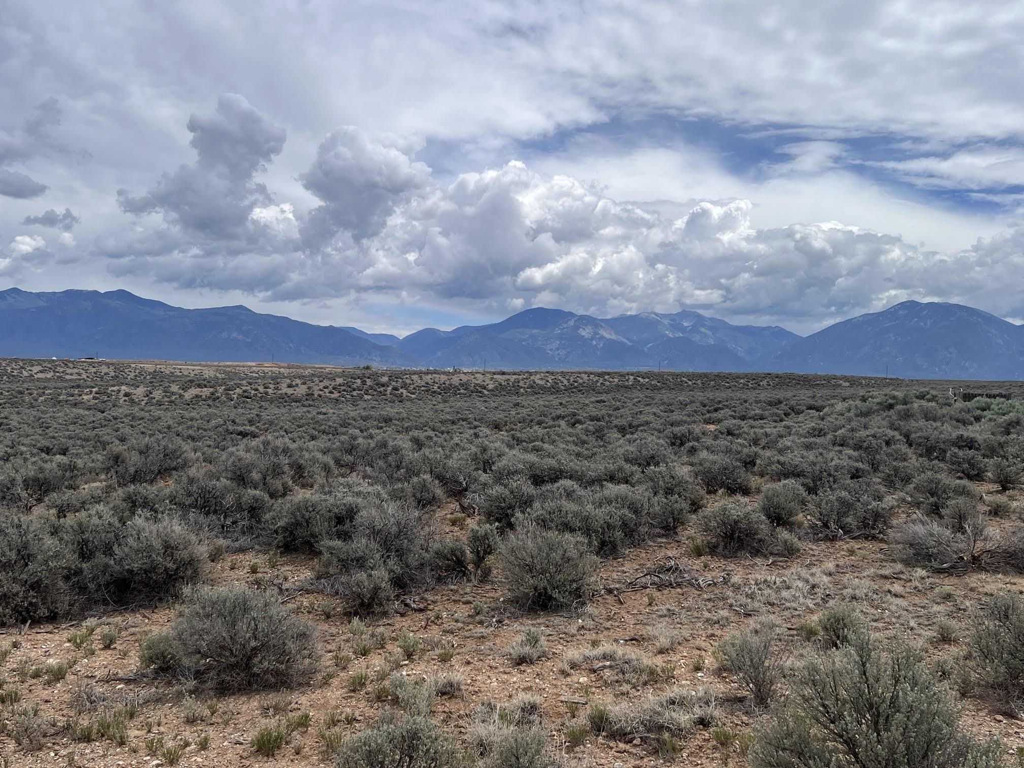 1 Bad Dog Road El Prado, NM 87529 - Photo 1 of 13 Gallery Image 1
