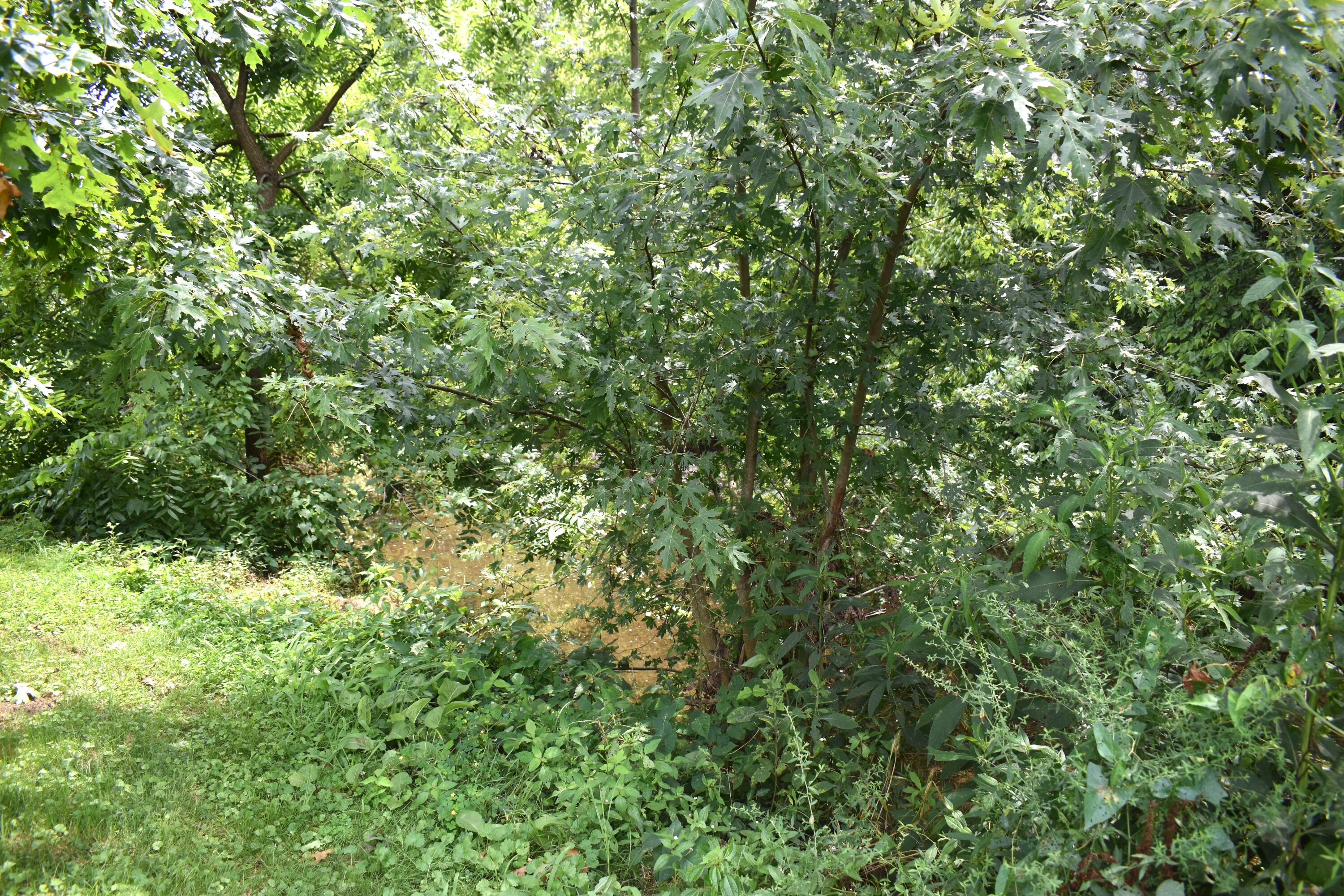 5591 Tates Creek Road Nicholasville, KY 40356 - Photo 22 of 69 DSC_0601