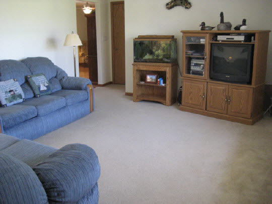 4075 Valerie Road Roscoe, IL 61073 - Photo 8 of 11 a living room with furniture and a fireplace