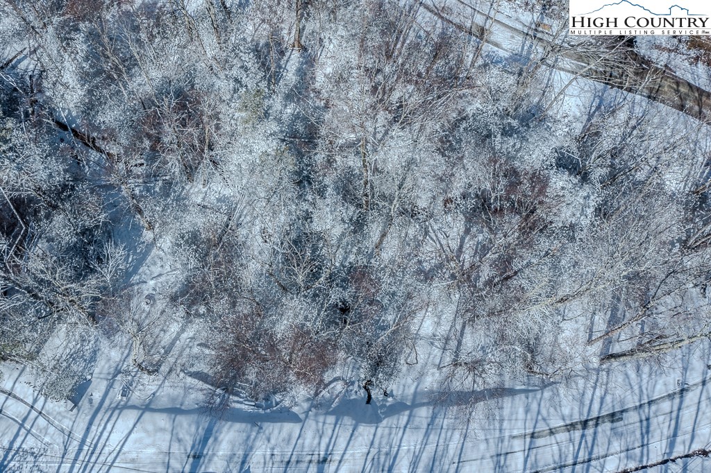 252 Greenbriar Road Beech Mountain, NC 28604 - Photo 11 of 17 a close up of a field