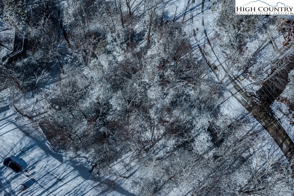 252 Greenbriar Road Beech Mountain, NC 28604 - Photo 12 of 17 a view of a dry yard with large trees