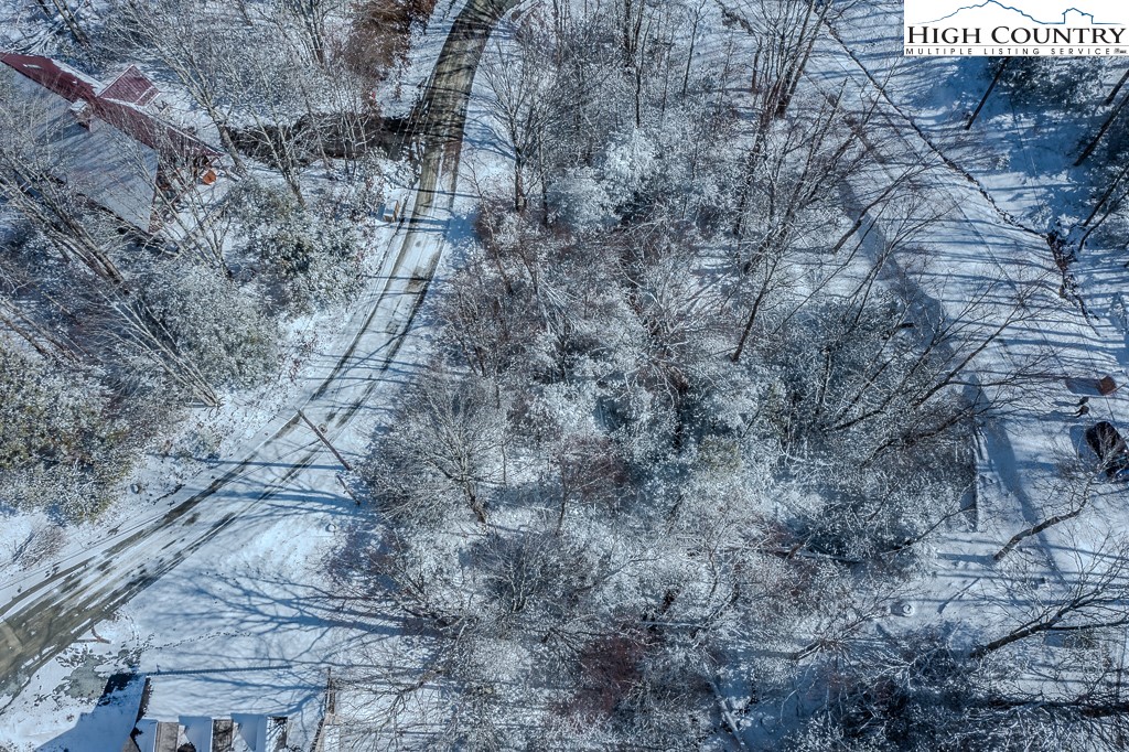 252 Greenbriar Road Beech Mountain, NC 28604 - Photo 14 of 17 a view of a dry yard with green space and trees