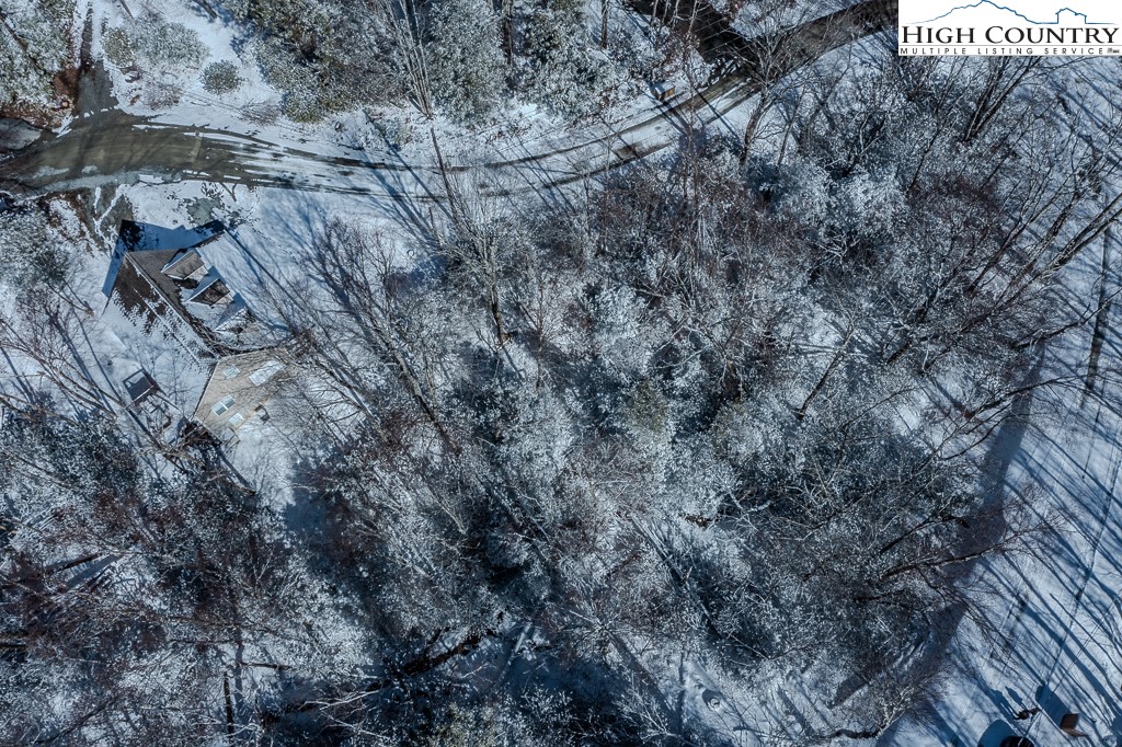 252 Greenbriar Road Beech Mountain, NC 28604 - Photo 15 of 17 a view of a yard