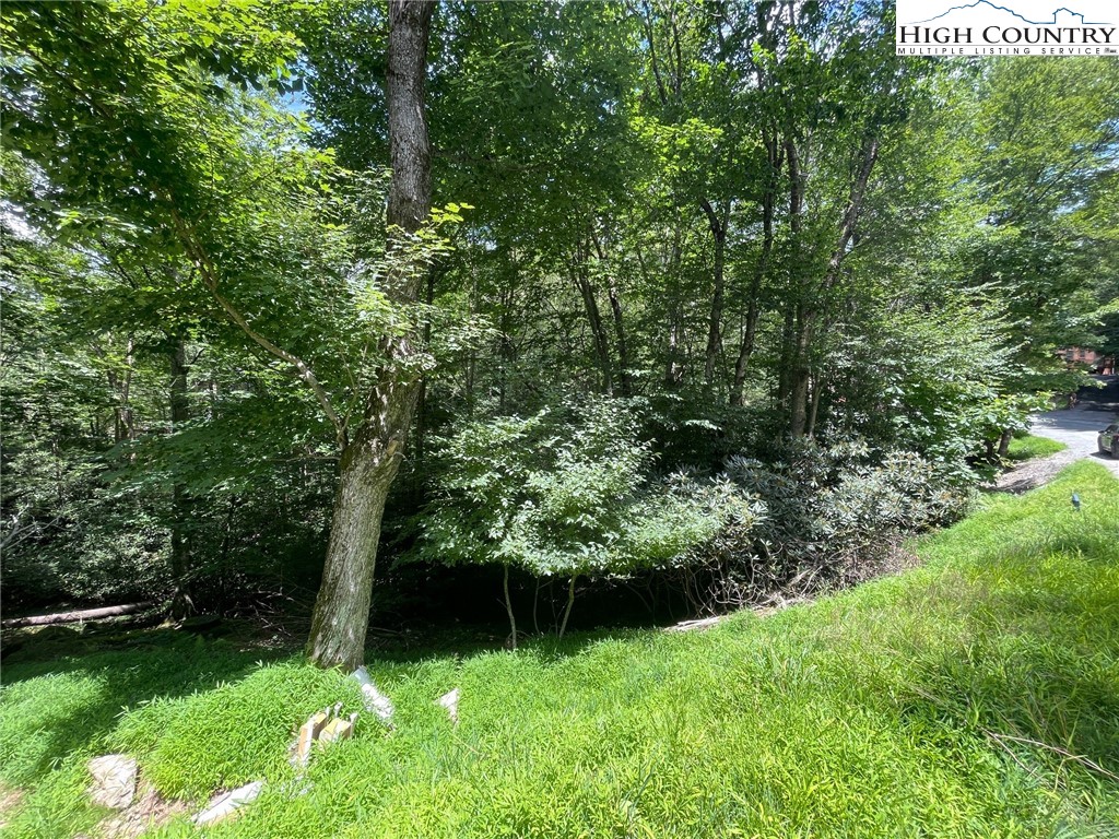 252 Greenbriar Road Beech Mountain, NC 28604 - Photo 2 of 17 a view of an outdoor space and a yard