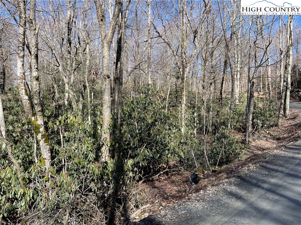 252 Greenbriar Road Beech Mountain, NC 28604 - Photo 4 of 17 a view of a yard with a tree