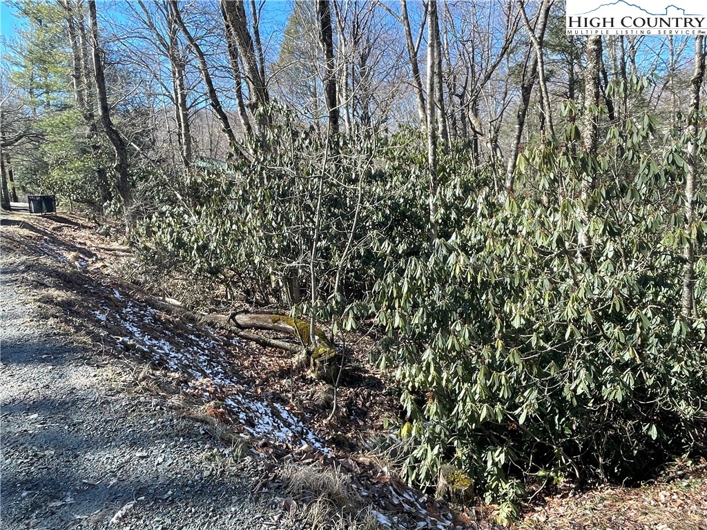 252 Greenbriar Road Beech Mountain, NC 28604 - Photo 6 of 17 a view of a yard with a tree