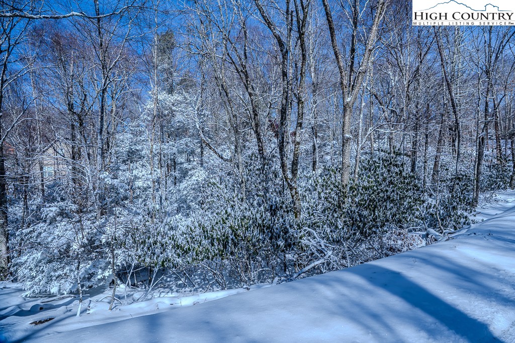 252 Greenbriar Road Beech Mountain, NC 28604 - Photo 7 of 17 a view of a dry yard