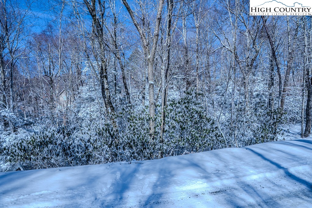 252 Greenbriar Road Beech Mountain, NC 28604 - Photo 8 of 17 a view of a dry yard