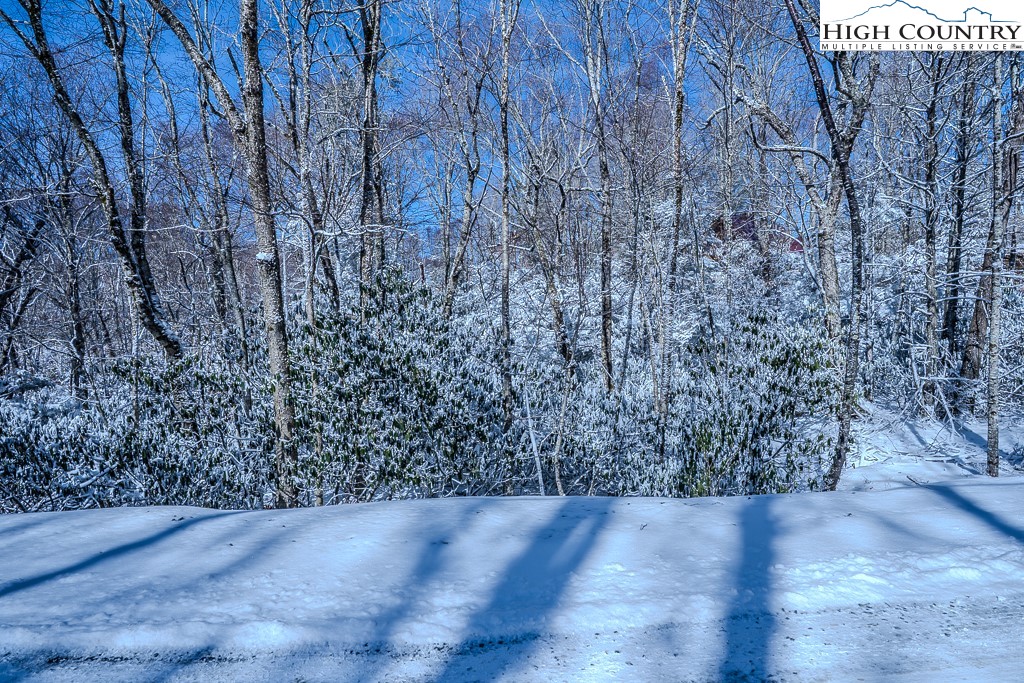 252 Greenbriar Road Beech Mountain, NC 28604 - Photo 9 of 17 a view of a dry yard