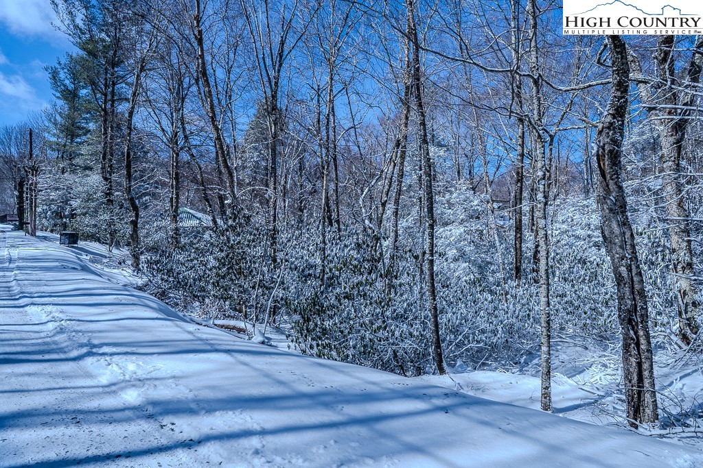 252 Greenbriar Road Beech Mountain, NC 28604 - Photo 10 of 17 a view of a pathway with a wrought fence