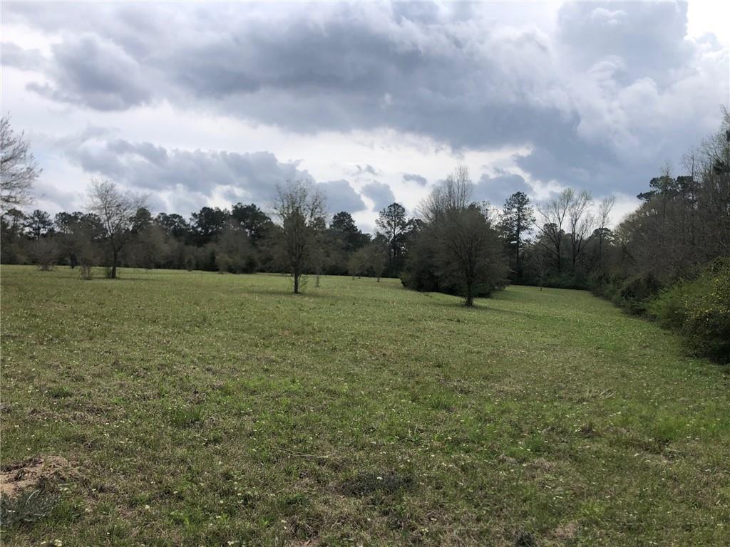 20-acres Ed Revere Road Folsom, LA 70437 - Photo 3 of 9 Gallery Image 3