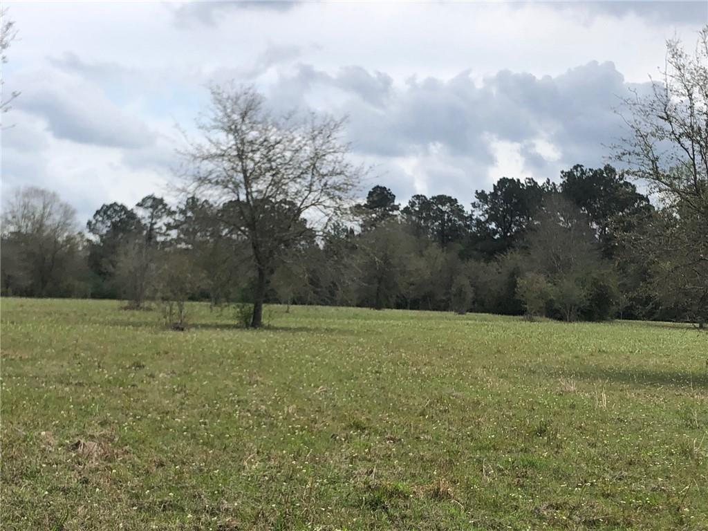 20-acres Ed Revere Road Folsom, LA 70437 - Photo 4 of 9 Gallery Image 4