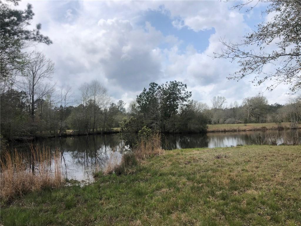 20-acres Ed Revere Road Folsom, LA 70437 - Photo 8 of 9 Gallery Image 8