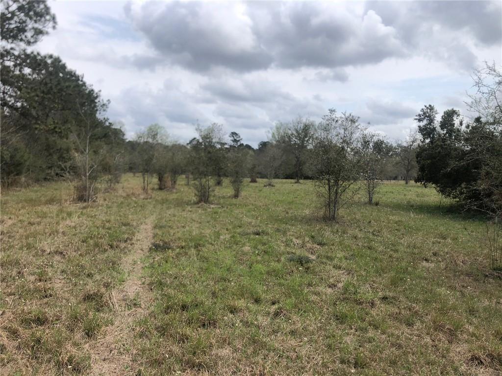 20-acres Ed Revere Road Folsom, LA 70437 - Photo 9 of 9 Gallery Image 9