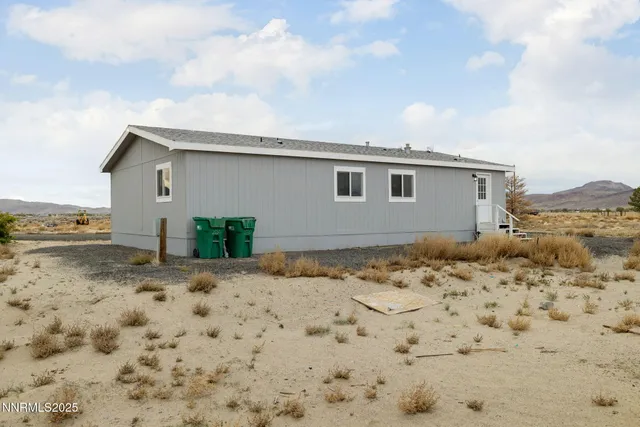 a view of a dry yard with a tree