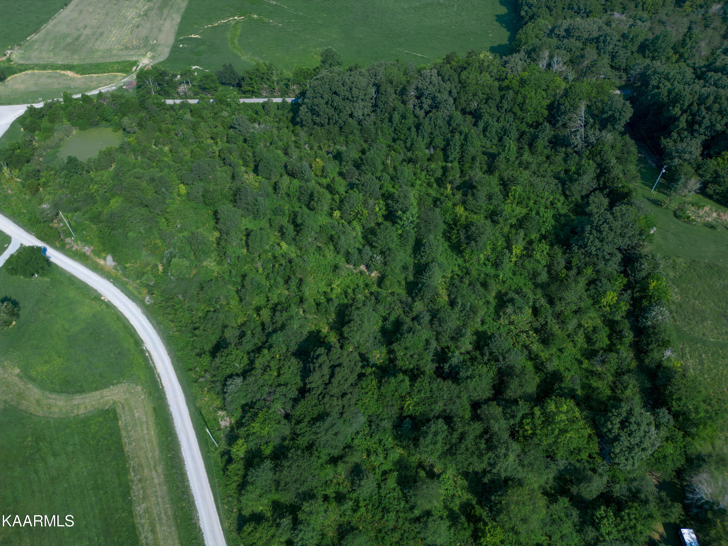 2870 Black Road Greenback, TN 37742 - Photo 11 of 29 Facing NW