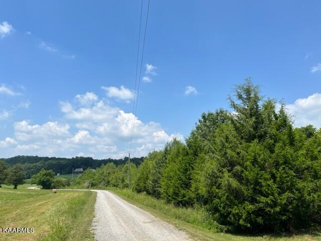 2870 Black Road Greenback, TN 37742 - Photo 13 of 29 IMG_5581