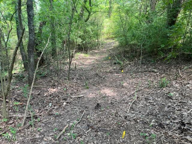 2870 Black Road Greenback, TN 37742 - Photo 16 of 29 IMG_5592
