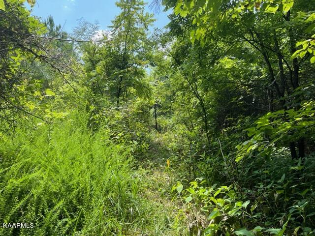 2870 Black Road Greenback, TN 37742 - Photo 17 of 29 IMG_5591