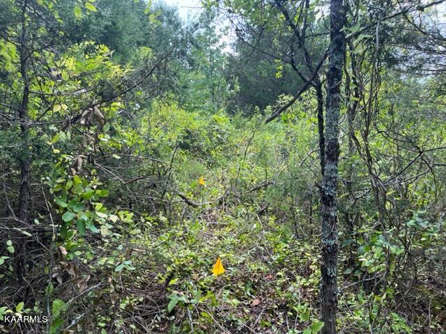 2870 Black Road Greenback, TN 37742 - Photo 18 of 29 IMG_5589