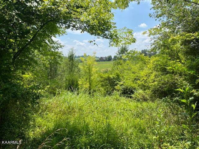 2870 Black Road Greenback, TN 37742 - Photo 20 of 29 IMG_5588