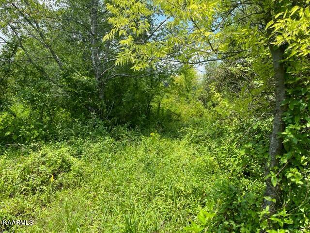 2870 Black Road Greenback, TN 37742 - Photo 21 of 29 IMG_5585