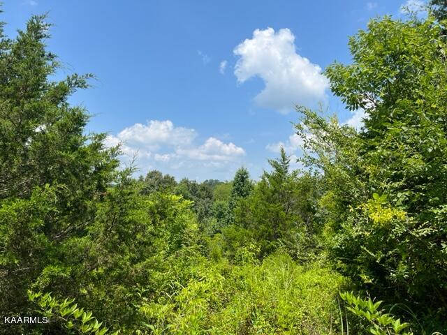 2870 Black Road Greenback, TN 37742 - Photo 23 of 29 IMG_5587