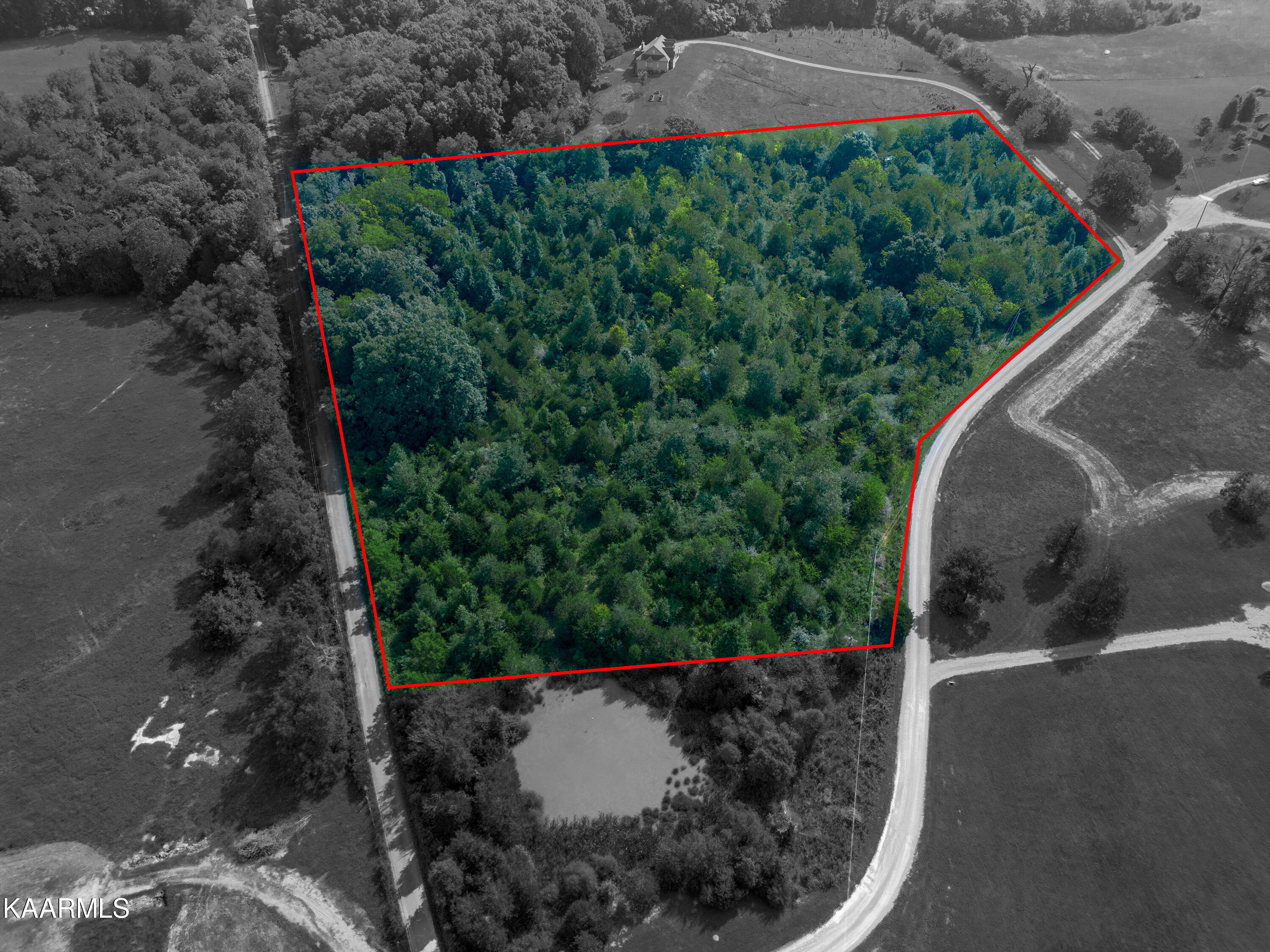 2870 Black Road Greenback, TN 37742 - Photo 6 of 29 Facing NE high BW