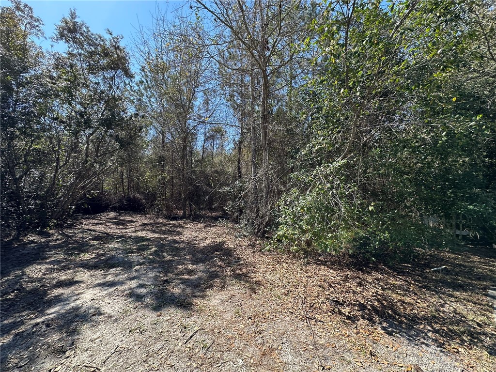 2 Stetson Drive Waycross, GA 31501 - Photo 4 of 6