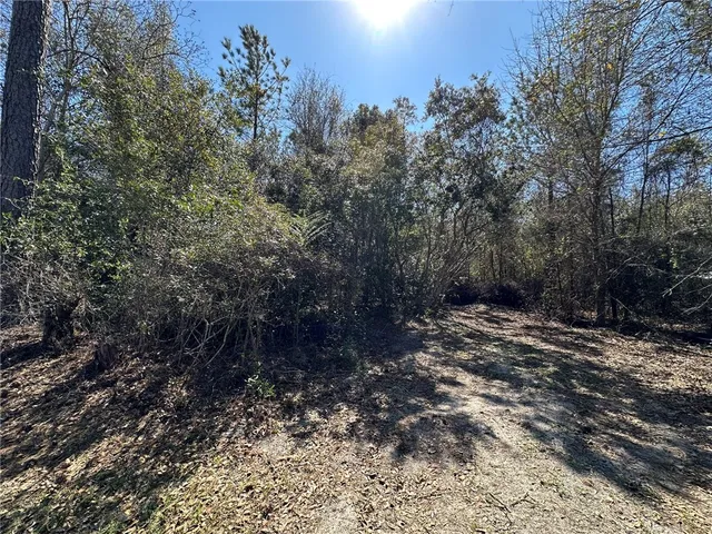 $99,000 | -stetson Dr And Stetson Drive, Waycross, GA 31501