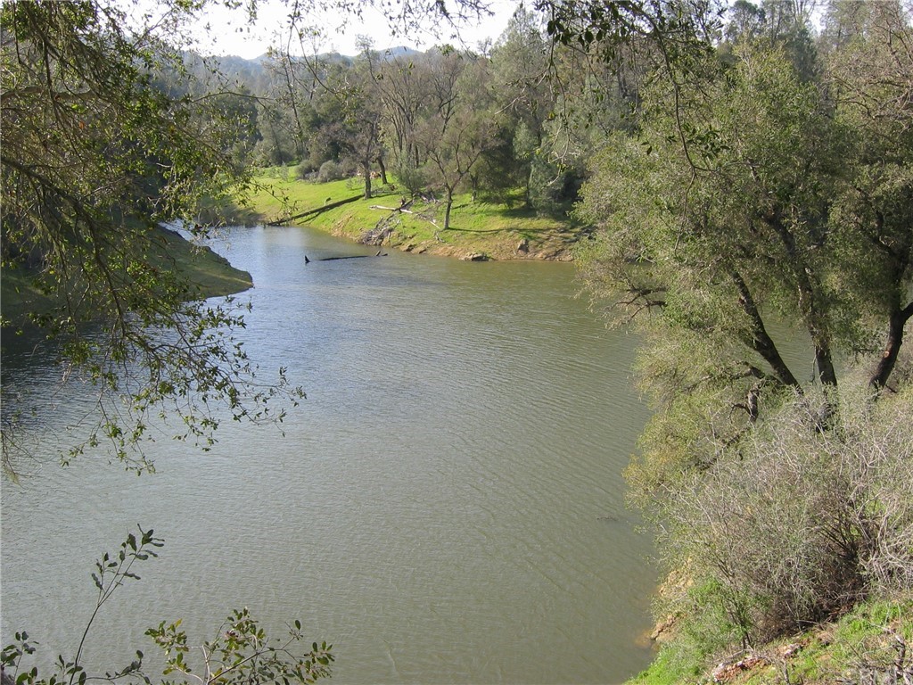 5925 Aluffo Road Paso Robles, CA 93446 - Photo 11 of 21 a view of a yard with a tree