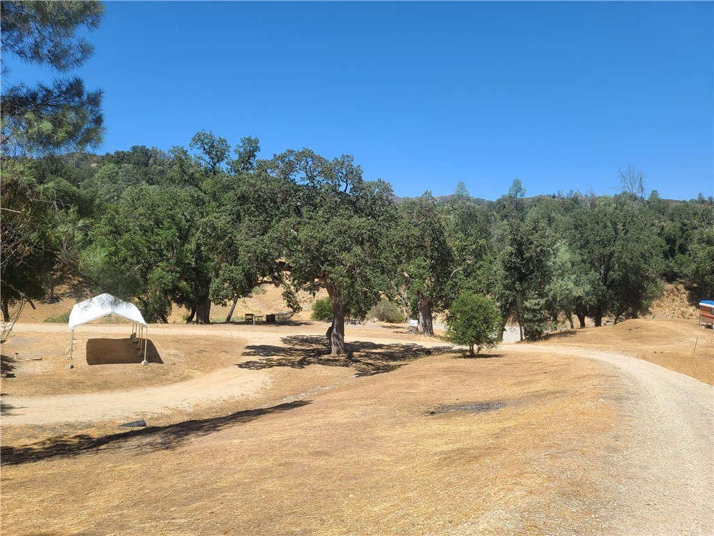 5925 Aluffo Road Paso Robles, CA 93446 - Photo 2 of 21 a view of road with large trees