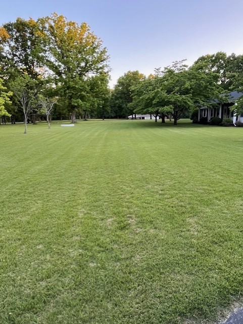 1386 Chisholm Road Cypress Inn, TN 38452 - Photo 12 of 58 a view of a field with an trees in the background