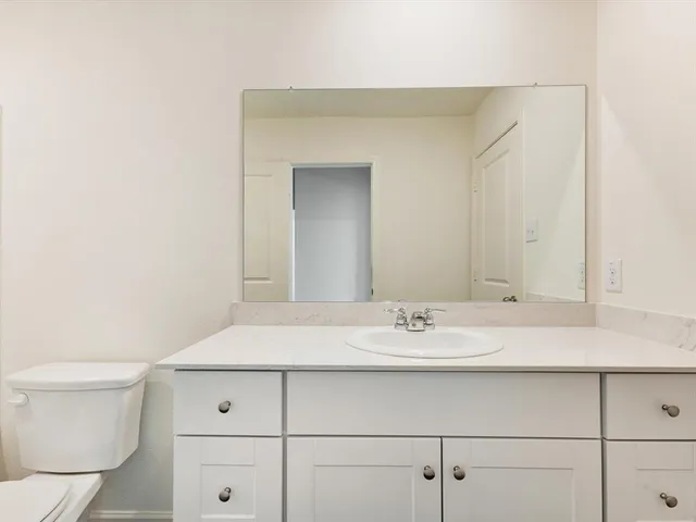 a bathroom with a sink and a toilet
