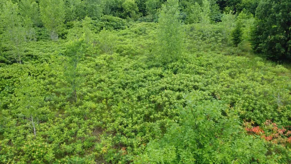 $110,700 | Tbd Tbd Long Lake, Ottertail, MN 56571