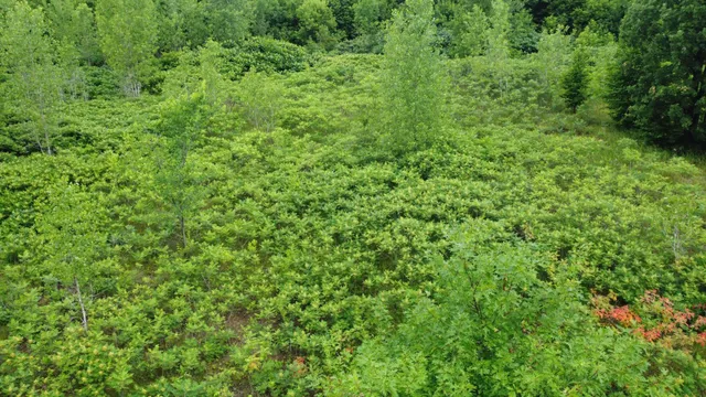 $110,700 | Tbd Tbd Long Lake, Ottertail, MN 56571