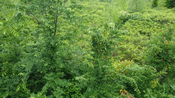 $110,700 | Tbd Tbd Long Lake, Ottertail, MN 56571