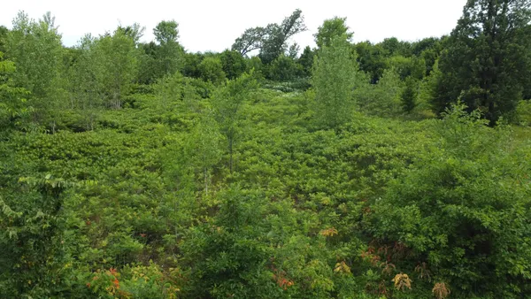 $110,700 | Tbd Tbd Long Lake, Ottertail, MN 56571