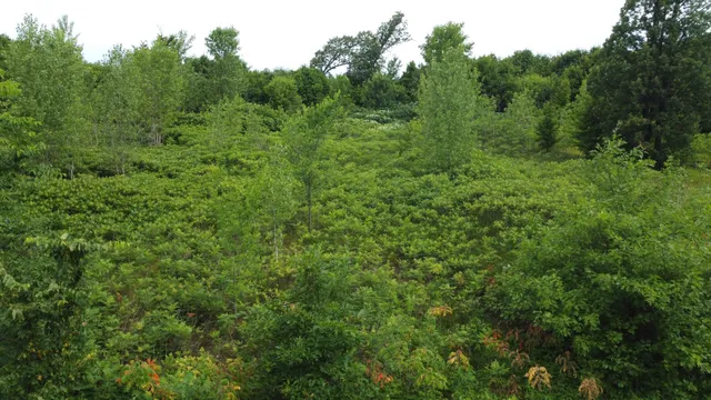 $110,700 | Tbd Tbd Long Lake, Ottertail, MN 56571