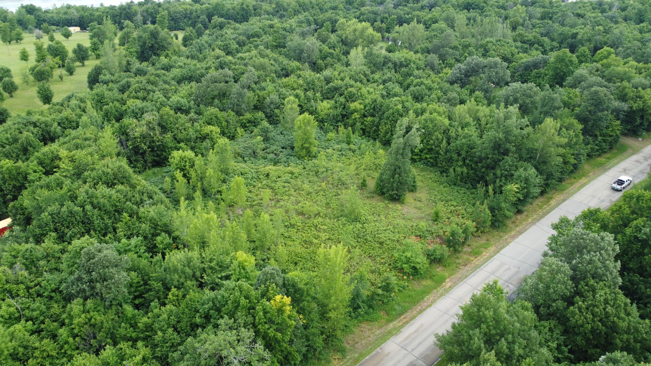 Tbd Tbd Long Lake Ottertail, MN 56571 - Photo 9 of 15